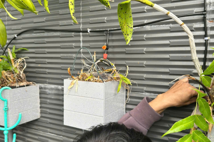 Tưới cây tự động ban công