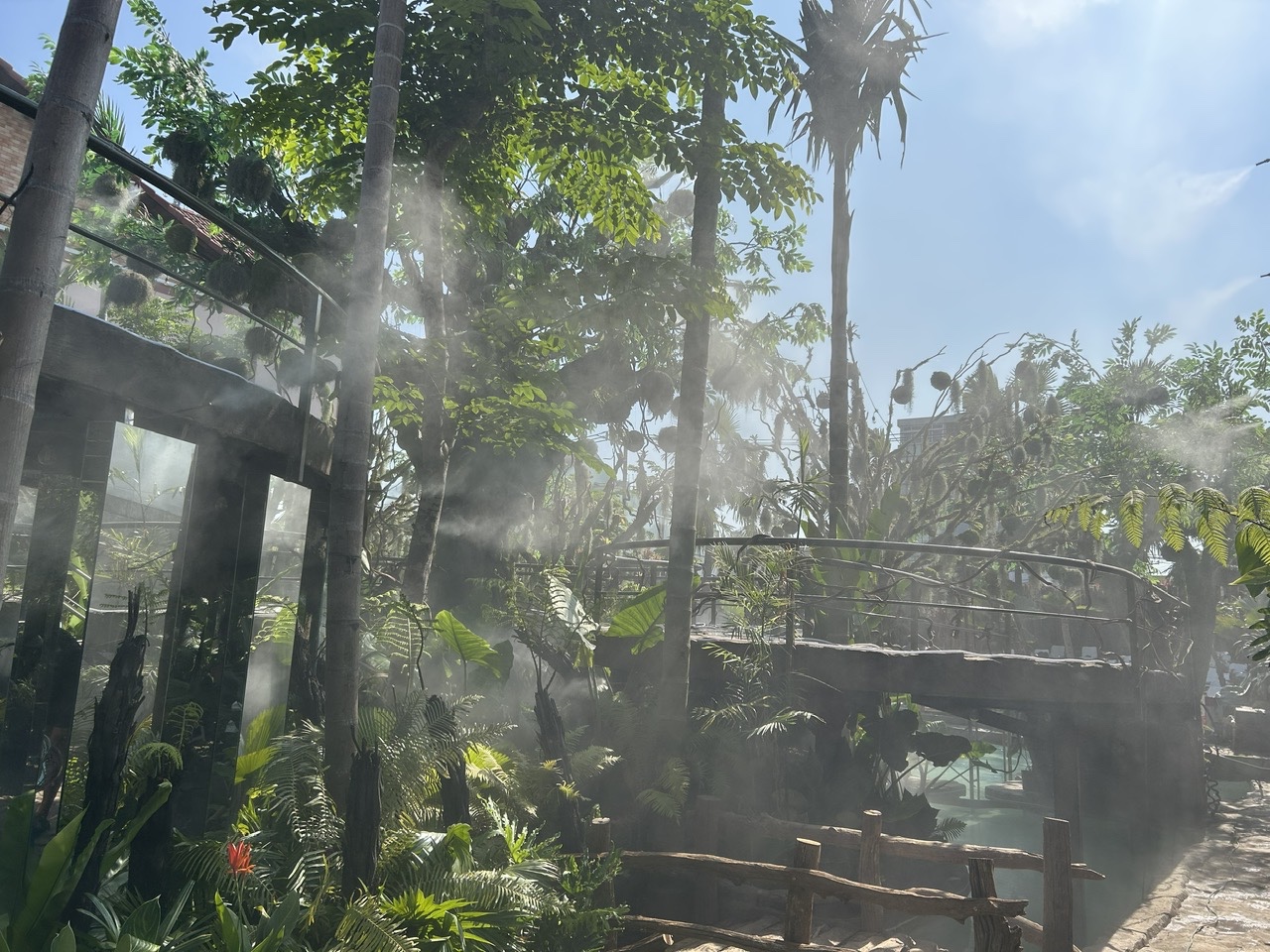 hệ thống phun sương làm mát tưới cây