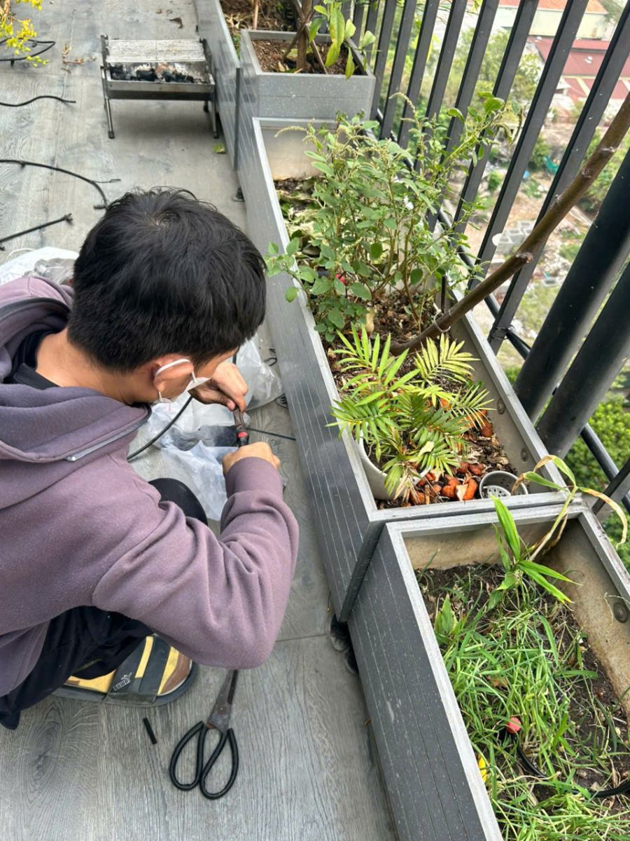 Lắp đặt máy phun sương